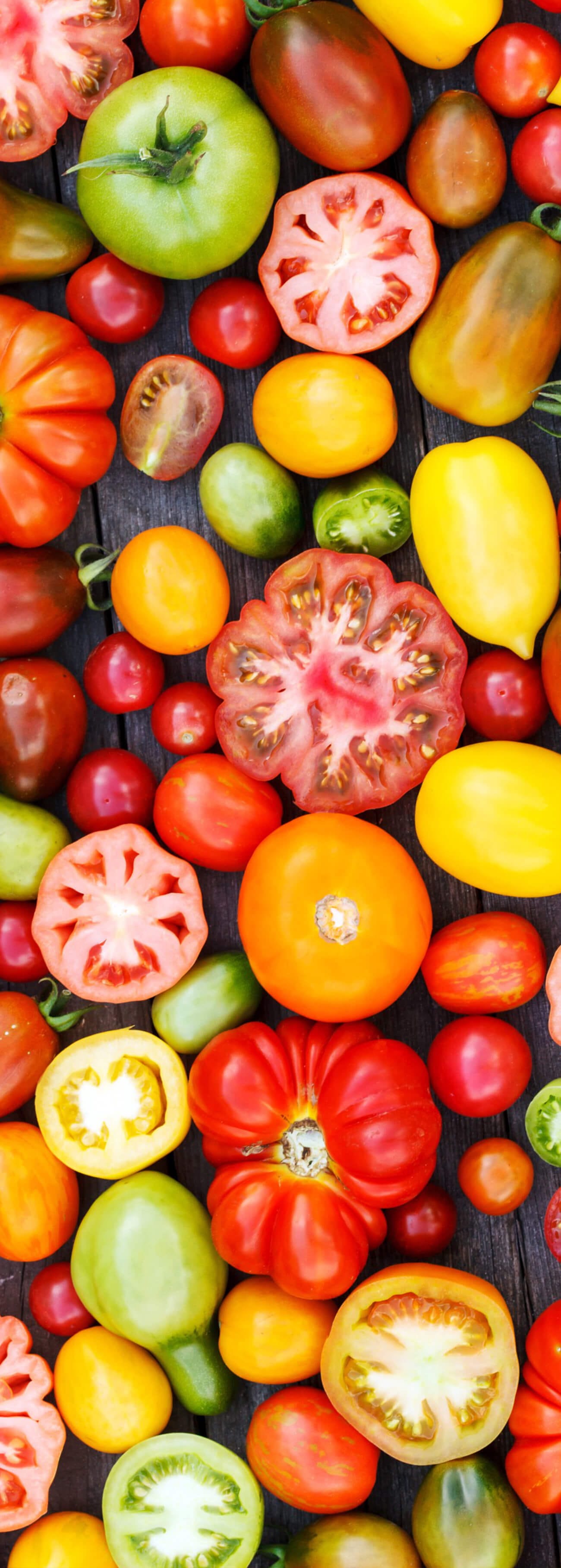 overhead image of various colored tomatoes